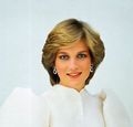 Lady Diana~♥♥ - princess-diana fan art