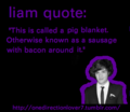 Liam Quotes♥ - liam-payne photo