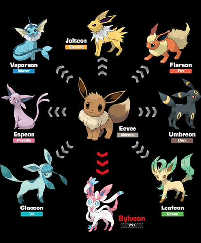  Pokemon X and Y