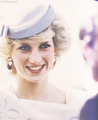 Princess Diana~♥ ♥ - princess-diana fan art