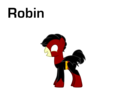 Robin as a pony! - young-justice photo