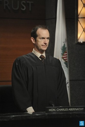  The Good Wife - Episode 4.22 - What's in the Box? - Promotional foto-foto