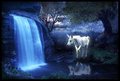 Unicorn by a waterfall - unicorns photo