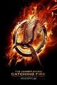 catching fire - the-hunger-games photo