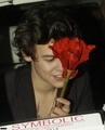 Apr 25th - Harry leaving Dan Tana's Restaurant in Los Angeles - one-direction photo