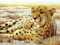 wild-animals - Big Cats wallpaper