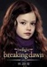 The Cullens and swan - twilight-series icon