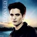 The Cullens and swan - twilight-series icon