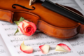 Violin & Roses - daydreaming photo
