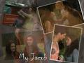 jake and bells - jacob-and-bella photo