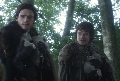 theon and robb