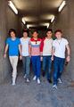 1D  - one-direction photo