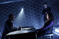 Agents of S.H.I.E.L.D. | Official Promo Pics  - agents-of-shield photo