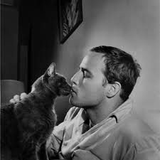 Brando and his kitty lock lips!