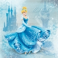 Cinderella - princess-cinderella photo
