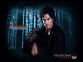 the-vampire-diaries - Damon Salvatore wallpaper