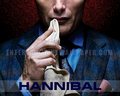 Hannibal Wallpaper - hannibal-tv-series wallpaper