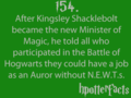 Harry Potter Facts - harry-potter fan art