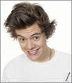 Harry styles 2013 - one-direction photo