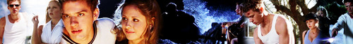  Helen & Barry banners for Brileyforever77