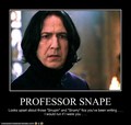 Prof.Snape - snapes-family-and-friends photo