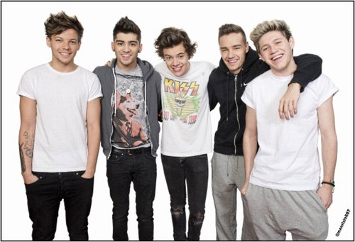  one direction 2013