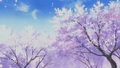 sakura blossom - anime photo