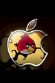 Angry Birds - angry-birds photo