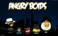 Angry Birds - angry-birds photo