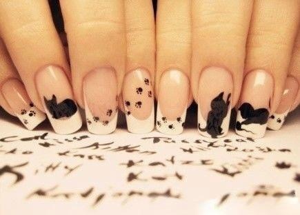  Cat nails