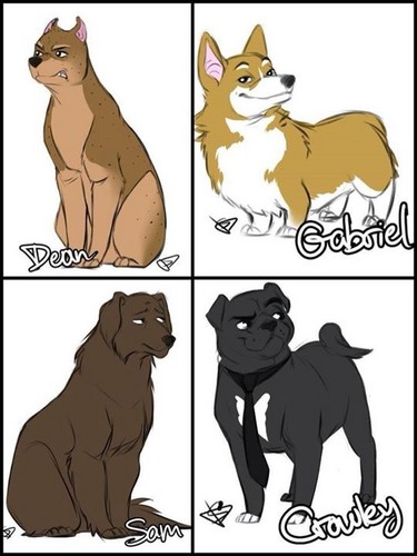 Dogs! Supernatural Style 