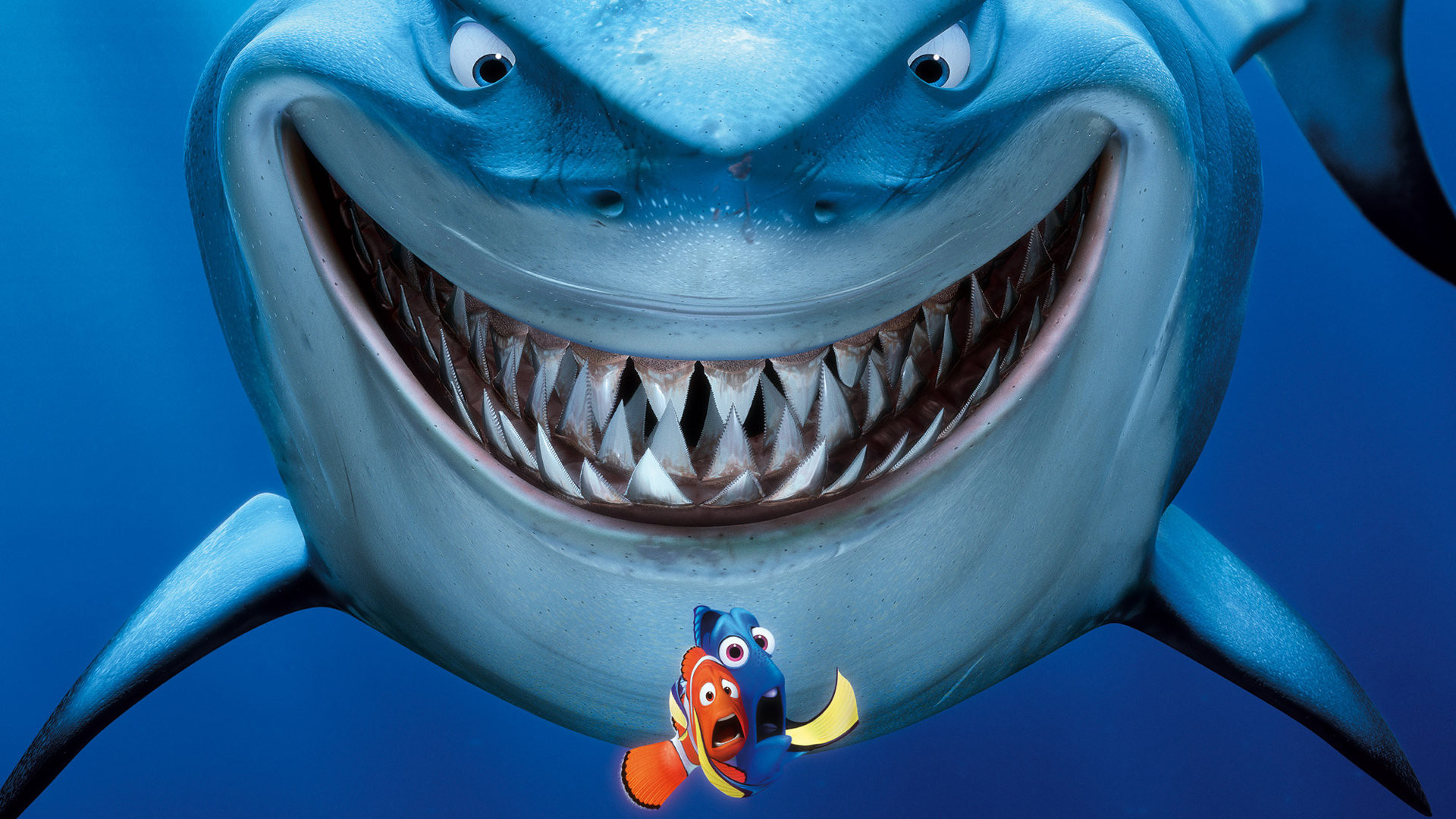 Finding Nemo - buscando a nemo fondo de pantalla (34551121) - fanpop
