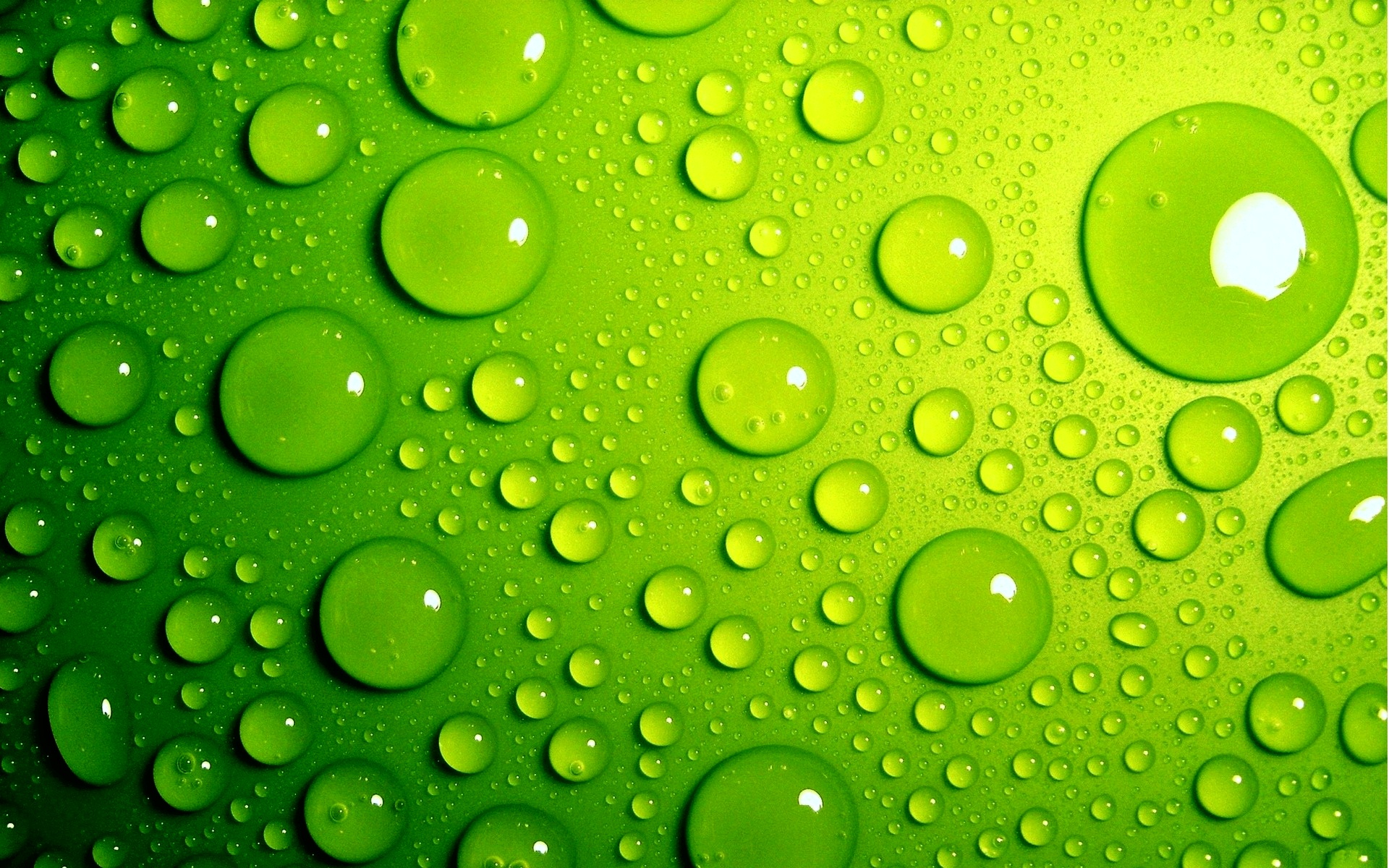 Green Wallpaper - Colors Wallpaper (34511120) - Fanpop
