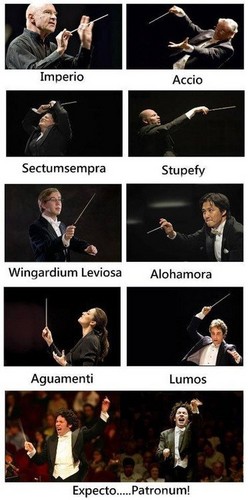  Harry Potter and the Chamber of muziki