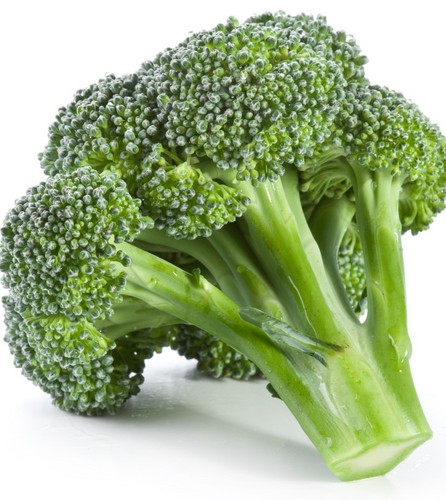 Healty Green Broccoli