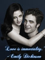 Love Is Immortality - twilight-series fan art
