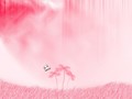 colors - Pink Wallpaper wallpaper