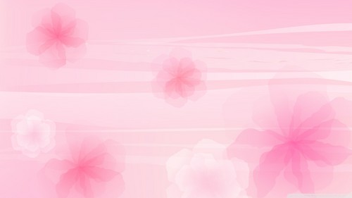  rosa wallpaper