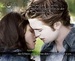 edward and bella - the-cullens icon