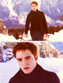 forever<3  - edward-and-bella photo