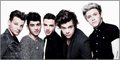 one direction where we are 2013 - one-direction photo
