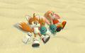tails and cream - tails-doll photo
