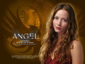 angel -  Angel wallpaper