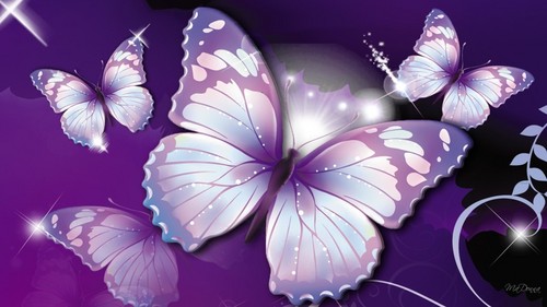 Beautiful Purple vlinder