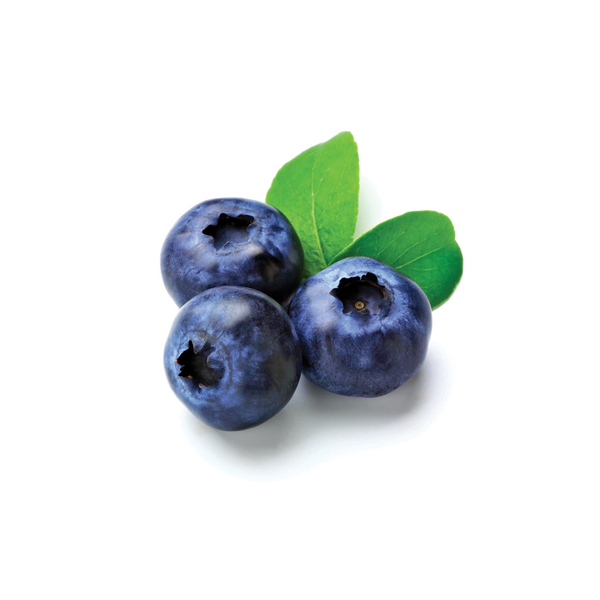 Lia blueberry
