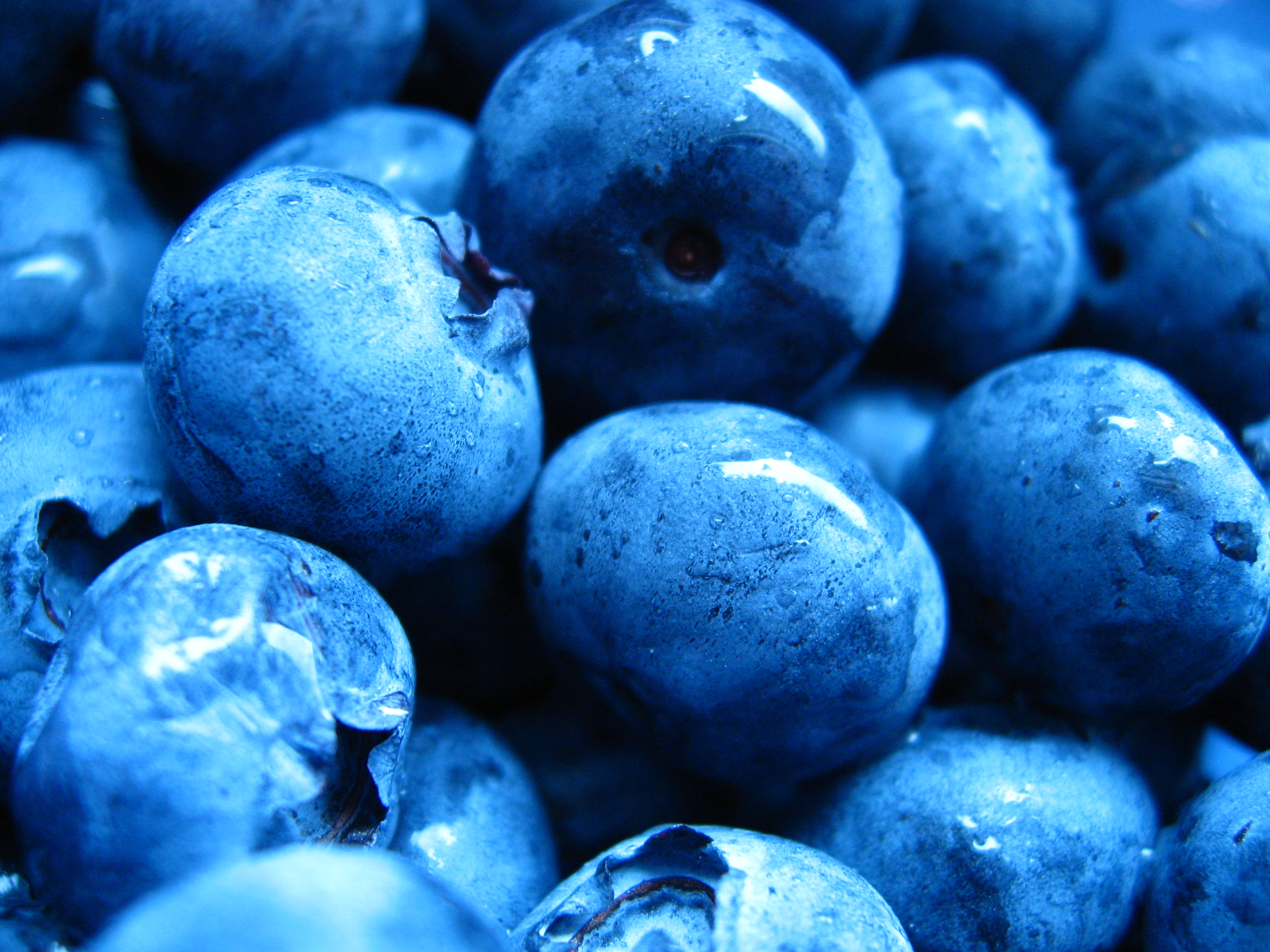 blue berry tea hair color