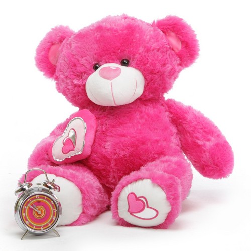  Lovely and Cute rosa Teddy orso