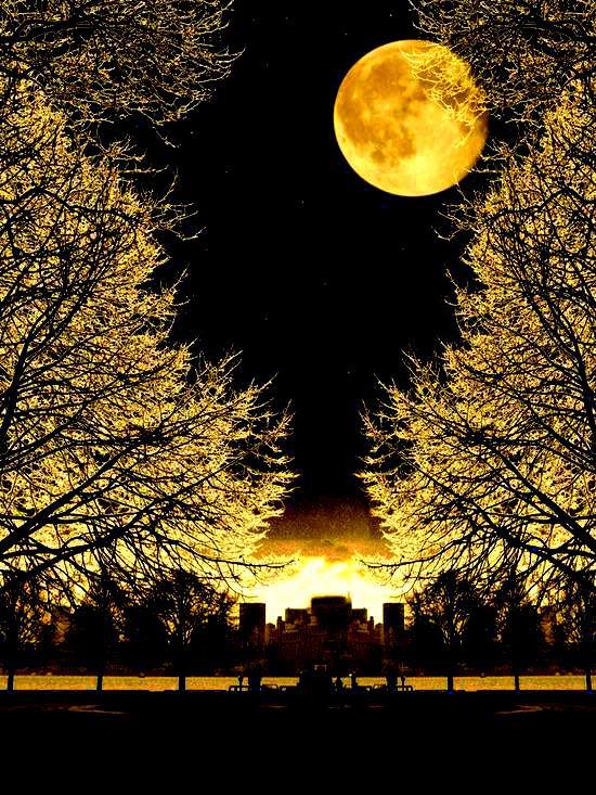 Moonlight Walk 4k HD Artist 4k Wallpapers Images Backgrounds Photos  and Pictures