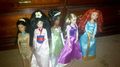My DP doll collection - disney-princess photo