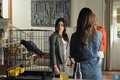 Pretty Little Liars - Episode 4.02 - Turn of the Shoe - Promotional Photos - pretty-little-liars-tv-show photo